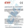 Porcellana China Professional Online Marketplace Certificazioni